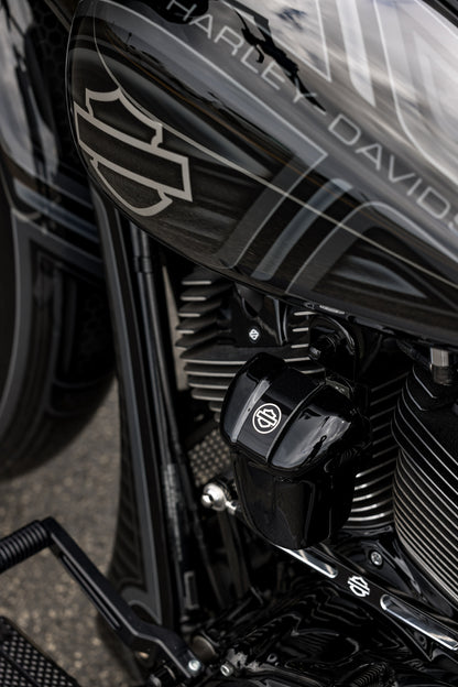 Softail or Street Glide Digital Downloads