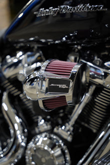 Softail or Street Glide Digital Downloads