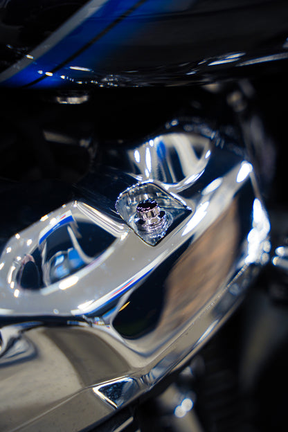 Softail or Street Glide Digital Downloads